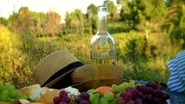 Picnic nella natura con gli amanti del vino insieme. Focus selettivo. — Video Stock