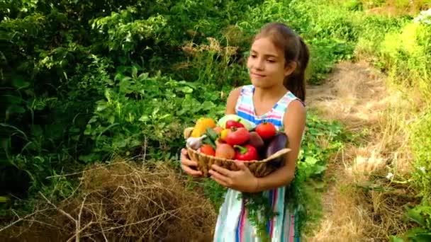 Un niño en el jardín con una cosecha de verduras. Enfoque selectivo. — Vídeo de stock