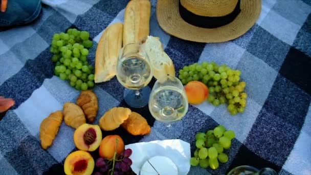 Picnic en la naturaleza con amantes del vino juntos. Enfoque selectivo. — Vídeo de stock