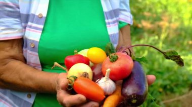 Büyükanne hasatla birlikte sebzeleri elinde tutuyor. Seçici odak.