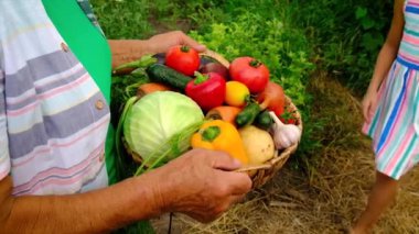 Sebze hasadı olan büyükanne ve çocuk. Seçici odak.