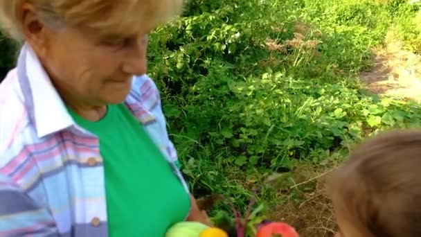 Sebze hasadı olan büyükanne ve çocuk. Seçici odak. — Stok video