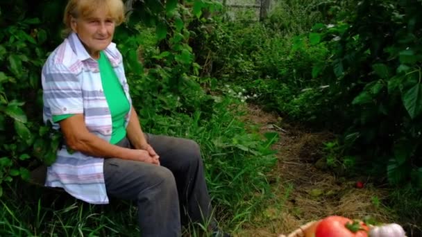 Abuela e hijo con una cosecha de verduras. Enfoque selectivo. — Vídeo de stock