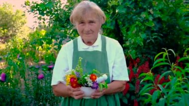 Kadın şifalı bitkiler ve çiçekler topluyor. Seçici odak.