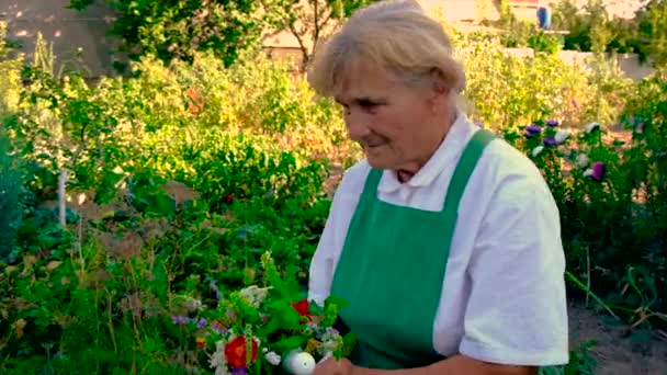 Woman collects medicinal herbs and flowers. Selective focus. — Stock Video