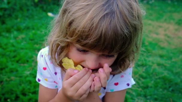 Les enfants mangent des chips dans la rue. Concentration sélective. — Video