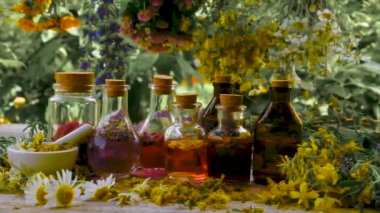 Şişe bitkisel tentür, homeopati. Seçici odak Doğa