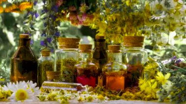 Şişe bitkisel tentür, homeopati. Seçici odak Doğa