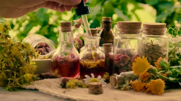 Tintura Hierbas Embotellada Homeopatía Enfoque Selectivo Naturaleza — Vídeo de stock