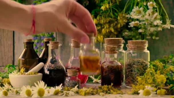 Şişe bitkisel tentür, homeopati. Seçici odak. — Stok video