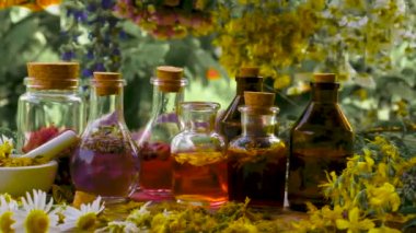 Şişe bitkisel tentür, homeopati. Seçici odak.