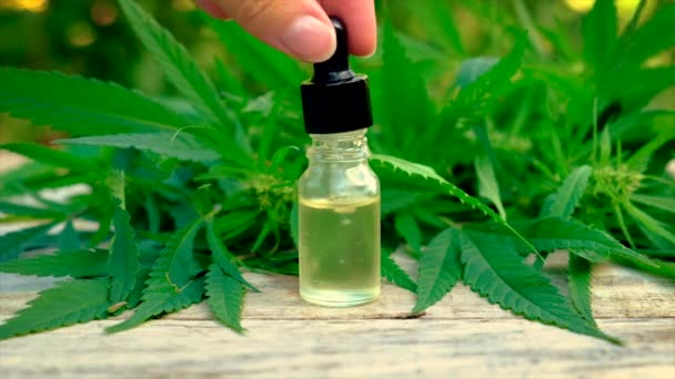 Huile de cannabis dans une bouteille. Concentration sélective. — Video