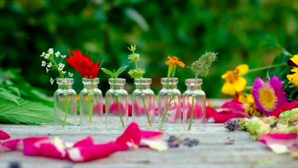 Bottled herbal and flower tinctures. Selective focus. — Stock Video