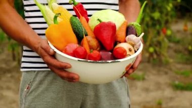 Sebze hasadı olan erkek çiftçi. Seçici odak.