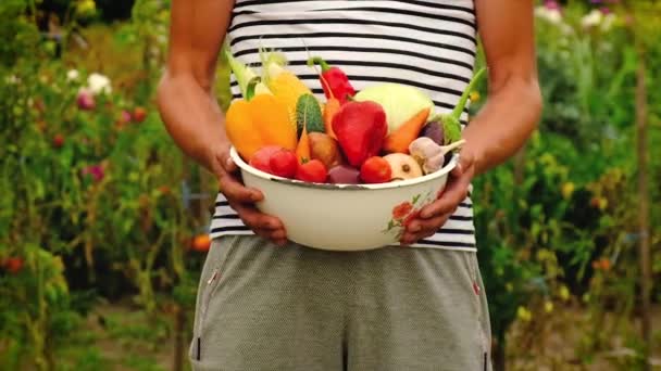 Hombre agricultor con una cosecha de verduras. Enfoque selectivo. — Vídeo de stock