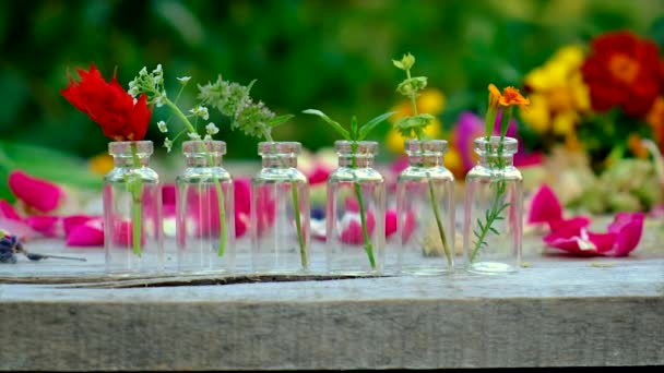 Tinturas de hierbas y flores embotelladas. Enfoque selectivo. — Vídeos de Stock