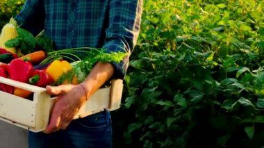 Sebze hasadı olan çiftçi adam. Seçici odak.