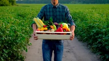 Sebze hasadı olan çiftçi adam. Seçici odak.