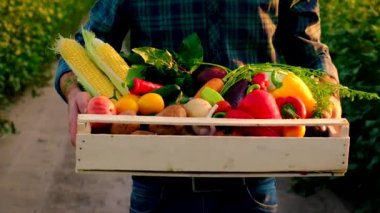 Sebze hasadı olan çiftçi adam. Seçici odak.