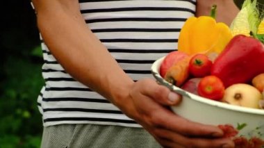 Sebze hasadı olan erkek çiftçi. Seçici odak.