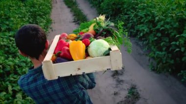 Sebze hasadı olan çiftçi adam. Seçici odak.