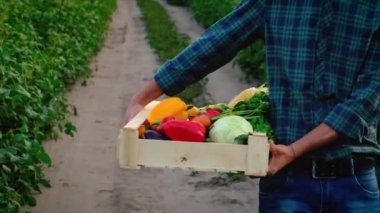 Sebze hasadı olan çiftçi adam. Seçici odak.