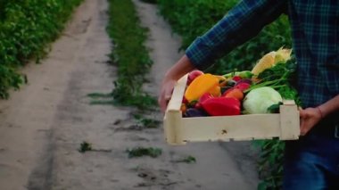 Sebze hasadı olan çiftçi adam. Seçici odak.