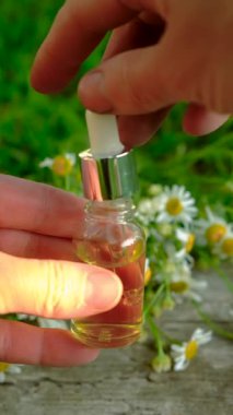 Alternatif tıp ve kozmetik ürünleri için papatya çayı. Seçici odaklanma. Doğa.