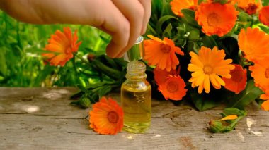 Tıbbi bitki takvimi homeopati. Seçici odaklanma. Doğa.