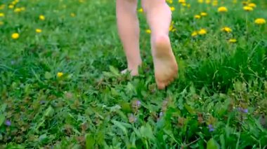 A child with dandelions in the garden. Selective focus. kid.
