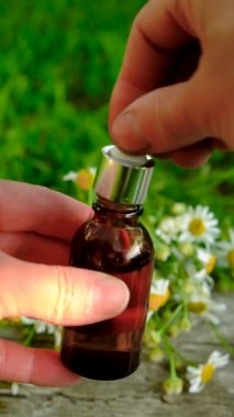 Alternatif tıp ve kozmetik ürünleri için papatya çayı. Seçici odaklanma. Doğa.