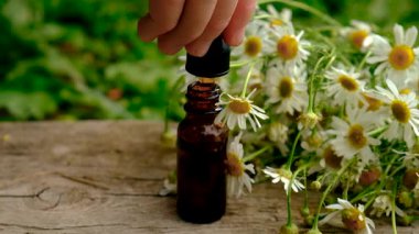 Alternatif tıp ve kozmetik ürünleri için papatya çayı. Seçici odaklanma. Doğa.