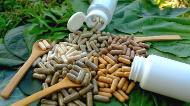 Various herbal supplement capsules. Selective focus. nature.