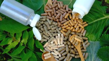 Various herbal supplement capsules. Selective focus. nature.