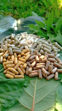Various herbal supplement capsules. Selective focus. nature.
