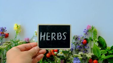 Various medicinal herbs on a white background. Selective focus. Nature.