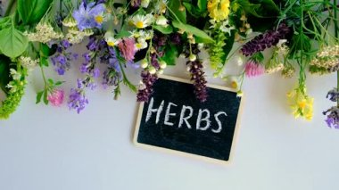 Various medicinal herbs on a white background. Selective focus. Nature.