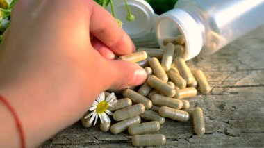 Alternatif tıp ve kozmetik ürünleri için papatya çayı. Seçici odaklanma. Doğa.