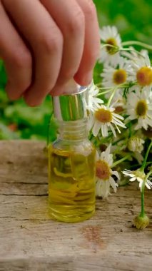 Alternatif tıp ve kozmetik ürünleri için papatya çayı. Seçici odaklanma. Doğa.