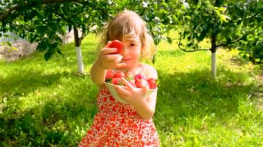 Bahçesinde çilek olan çocuk. Seçici odaklanma. Çocuk.