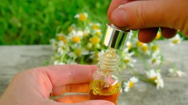 Alternatif tıp ve kozmetik ürünleri için papatya çayı. Seçici odaklanma. Doğa.