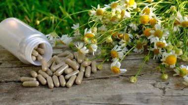 Alternatif tıp ve kozmetik ürünleri için papatya çayı. Seçici odaklanma. Doğa.