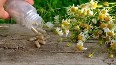 Alternatif tıp ve kozmetik ürünleri için papatya çayı. Seçici odaklanma. Doğa.