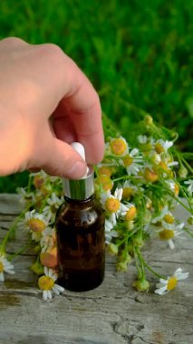 Alternatif tıp ve kozmetik ürünleri için papatya çayı. Seçici odaklanma. Doğa.