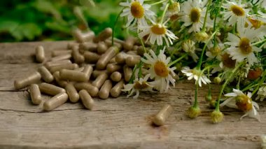 Alternatif tıp ve kozmetik ürünleri için papatya çayı. Seçici odaklanma. Doğa.