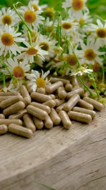 Alternatif tıp ve kozmetik ürünleri için papatya çayı. Seçici odaklanma. Doğa.