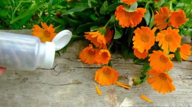 Tıbbi bitki takvimi homeopati. Seçici odaklanma. Doğa.