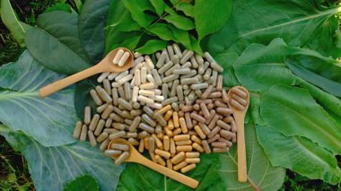 Various herbal supplement capsules. Selective focus. nature.