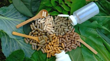 Various herbal supplement capsules. Selective focus. nature.