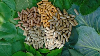 Various herbal supplement capsules. Selective focus. nature.